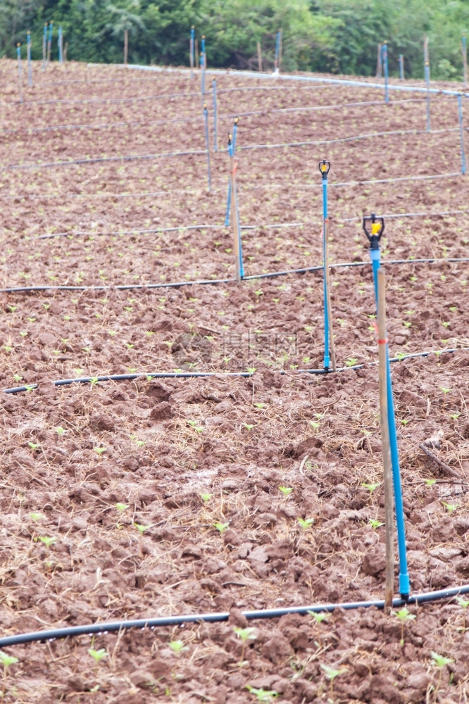 系统化灌溉的农田业用地耕和灌溉系统场景土块图片