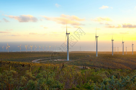 智利科金博区风力农场车资源环境的天空高清图片
