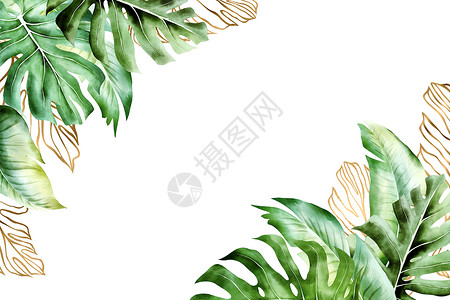 水彩热带装饰花园束热带背景金色和绿热带棕榈叶背景邀请函横旗招贴画传单带有复制空间的孤立框架设计图片