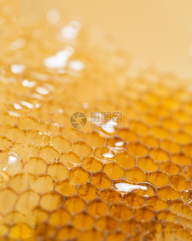 多边形自然关闭蜂蜜梳子清晰度高品质的美丽照片闭合蜂蜜梳子优质的美丽照片概念食物图片