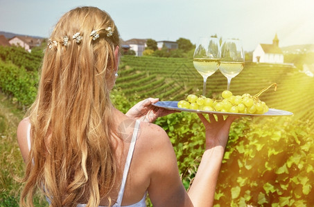 瑞士Rheinnau葡萄园盘子上酒和葡萄的女童藤蔓银白色的图片