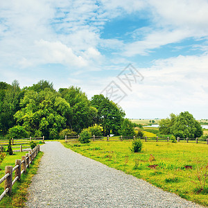 乡村的阳光明媚夏日农村地貌景色公园蓝的图片