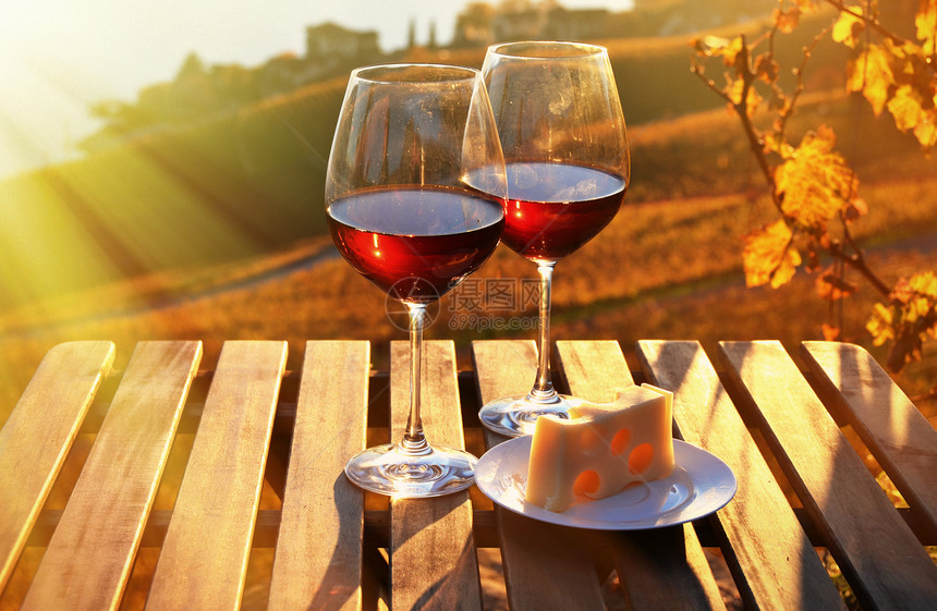 桌子葡萄栽培瑞士日内瓦湖的葡萄酒和奶酪对抗瑞士日内瓦湖阳台图片