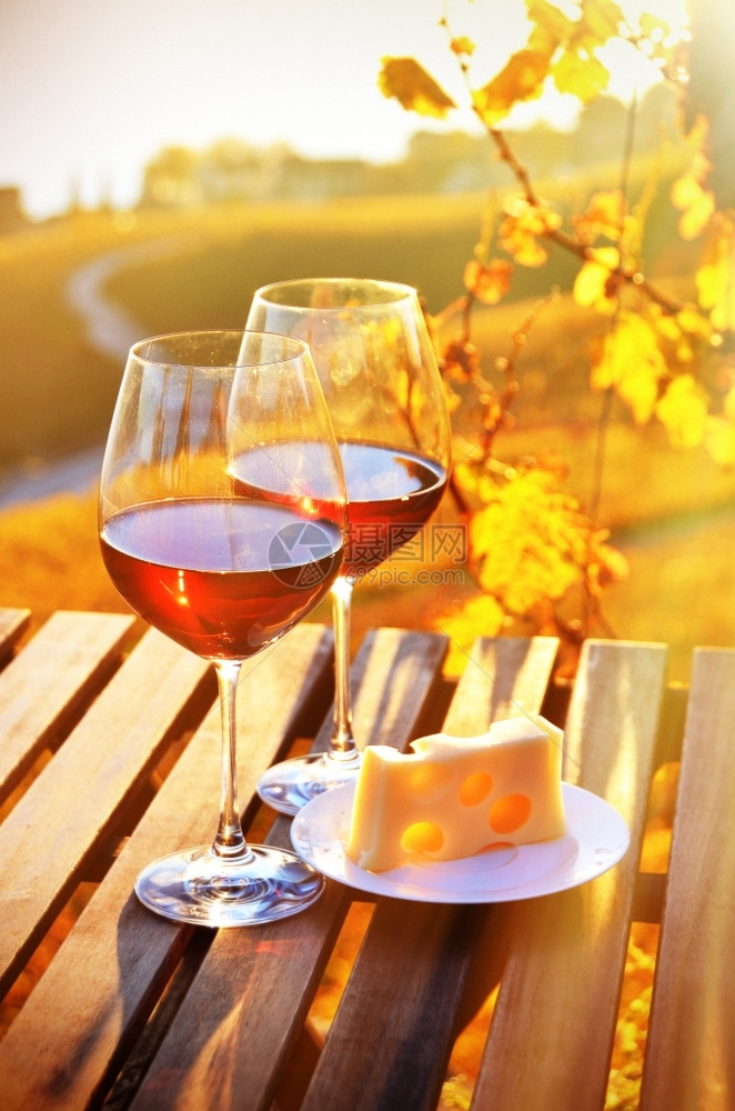 农村玻璃场地瑞士日内瓦湖的葡萄酒和奶酪对抗瑞士日内瓦湖图片