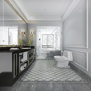 3d提供奢华豪的现代设计厕所和洗手间浴室当代的建成图片