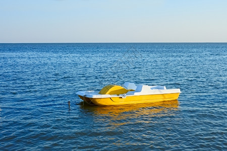 娱乐水平的天夏日在海水上行走的踏脚猫马兰背景图片