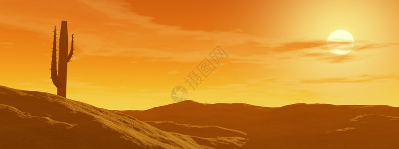 在沙漠日落的中丘和日落时上的仙人掌艺术植物荒野图片