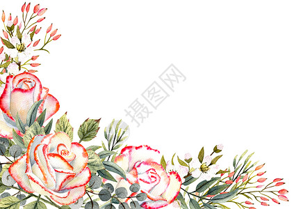 红色婚礼邀请函桉树优质的带水彩玫瑰花叶子装饰的水平框架用于设计贺卡请柬等带水彩玫瑰花请柬等植物插画