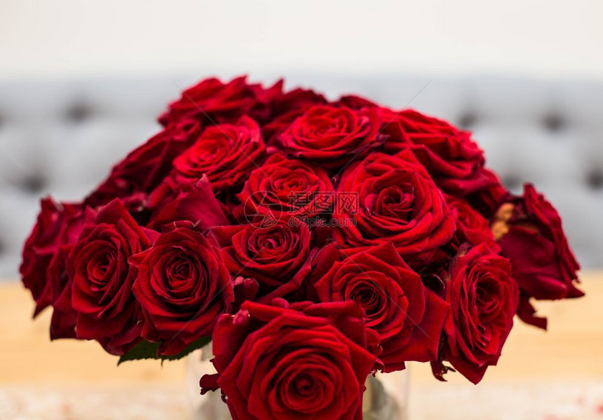 芽盛开红色玫瑰花束灰背景的婚礼鲜花选择焦点情人节概念美红色玫瑰花束选择焦点情人节概念开花图片
