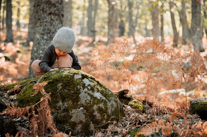 想像力小caucasian女婴在秋天的森林里穿着羊毛帽蹲与植物一起玩耍小caucacians女婴坐在森林里童年座位图片