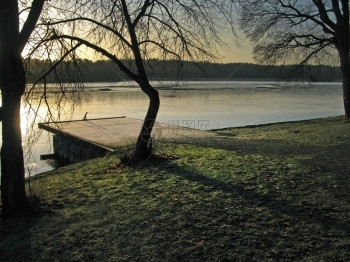 太阳绿色冰日落树带霜冻的草地环形树和湖边石堤冬季风景细节瑞典斯德哥尔摩冬天图片