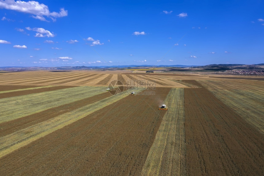 庄稼空中无人机观测将从事小麦田的收割者结合在一起农业主题收获季节天线行业图片