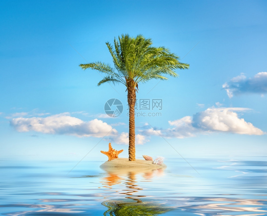海洋岛屿上的棕榈树和岛蓝色天空边缘云娱乐图片