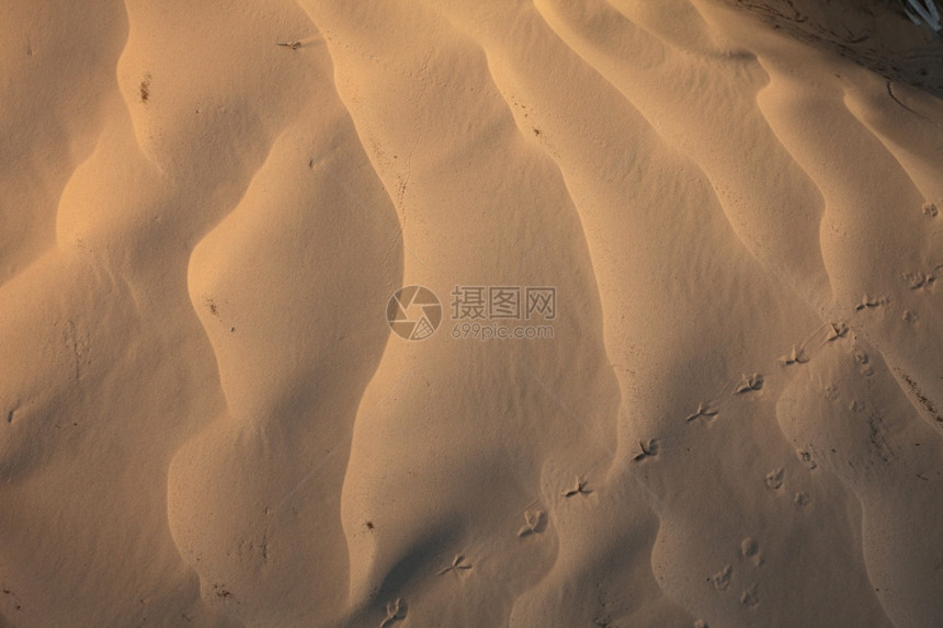 撒哈拉沙滩上的风纹异国情调摩洛哥波纹图片