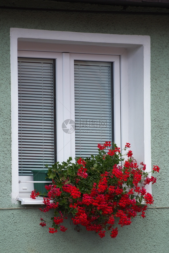 结石封闭的白色木制窗百叶用彩色装饰的玻璃硅天传统图片