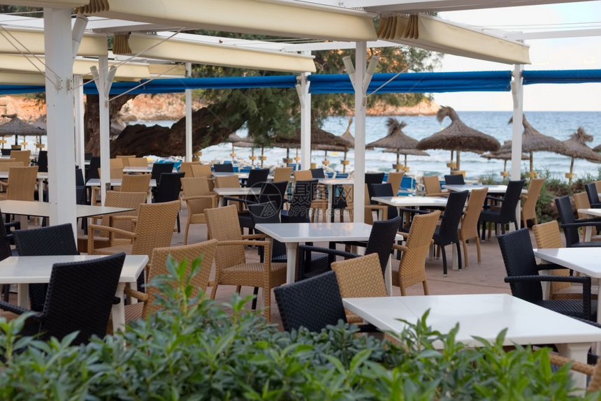 海滩上有景的餐厅椰子采取环境图片