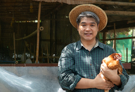 亚洲农民抱着母鸡图片
