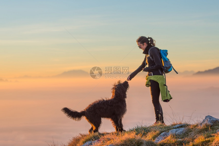 在山上爬时以日落的颜色给一个女孩吃的狗种黑色和平图片