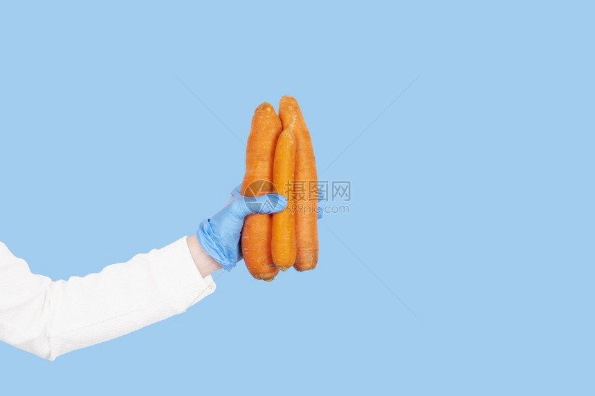 装在一次手套中的女握着在厨房概念中蓝背景卫生上与世隔绝的胡萝卜在一次手套中女持蓝色背景上的胡萝卜吃团体橙图片