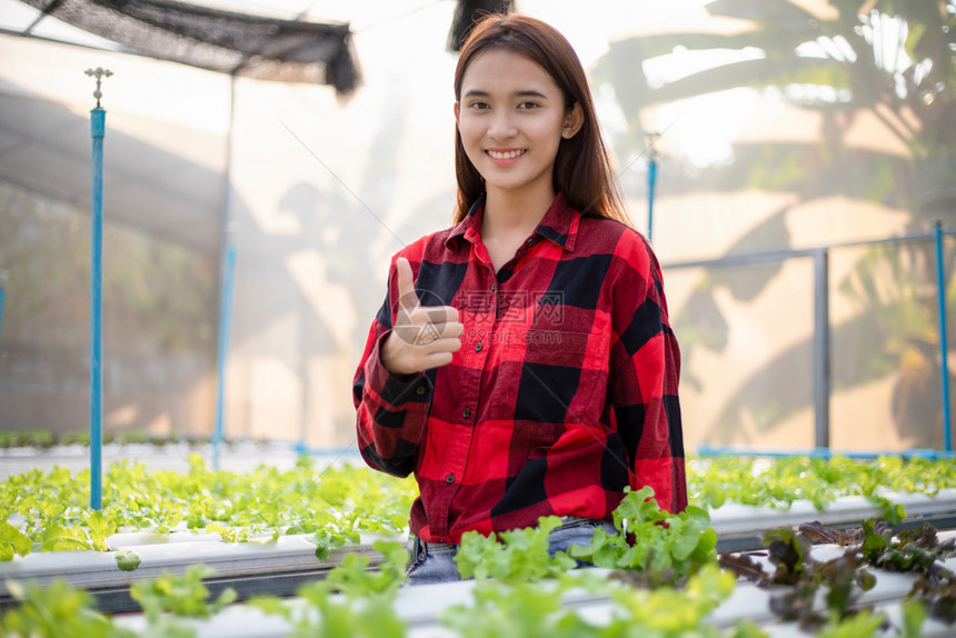 亚洲女农民在温室水养有机植物运动企业家有机蔬菜农场和健康食品概念中微笑的亚洲女农民保持生态工人图片