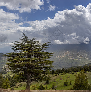 景观安塔利亚Kumluca区山顶和云的天空风景谷森林覆盖图片