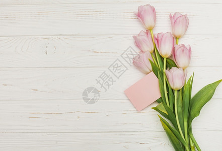 粉色郁金香和卡片图片