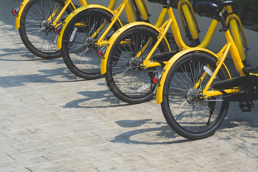 鹅卵石在公共区Cobblestone路面停车的一排黄色自行车侧视图带有复制空间胎链图片