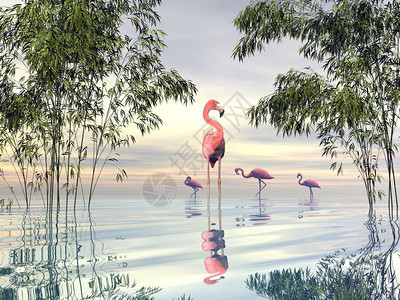 漫步花间随拍野生动物插图白天竹子间的火烈鸟群3D渲染竹子间的火烈鸟群渲染花设计图片