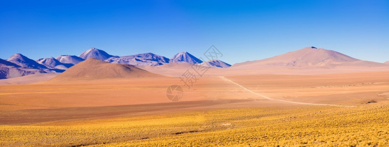 智利南美洲阿塔卡马沙漠40多米高度的阿尔提平原地貌美国人游客超过图片
