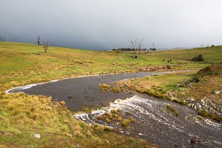 绿色急流澳大利亚新南威尔士州拉根附近的米安加溪流图片