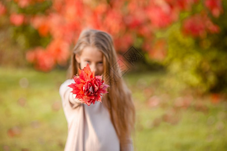 公园收集秋叶的小女孩背景图片