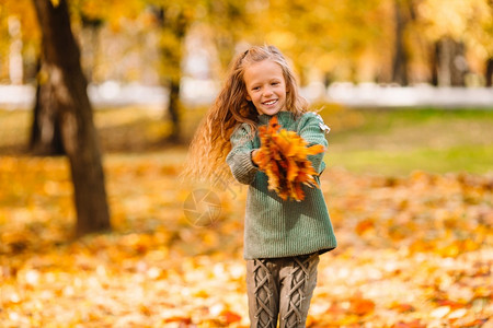 秋天在公园收集落叶的小女孩图片