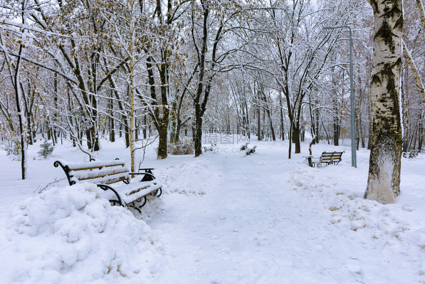凉爽的城市公园小巷美丽景象市公园中雪盖着的巷子林木板凳城公园中雪盖着树外部图片