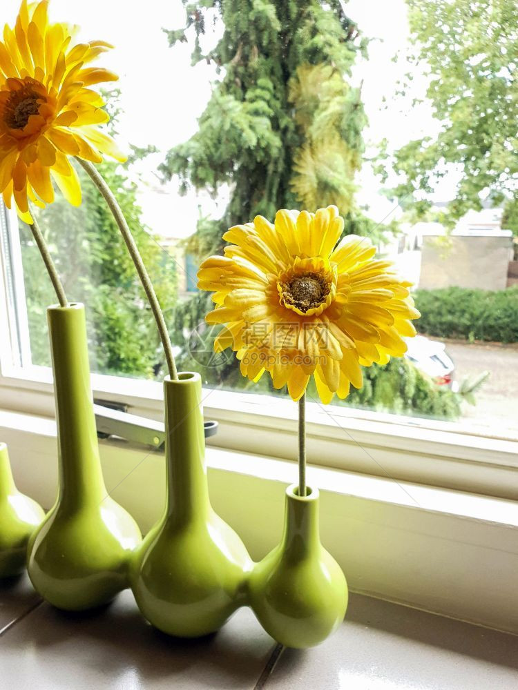 窗台上绿色花瓶中的黄朵绿景观多彩的美丽花漂亮明图片