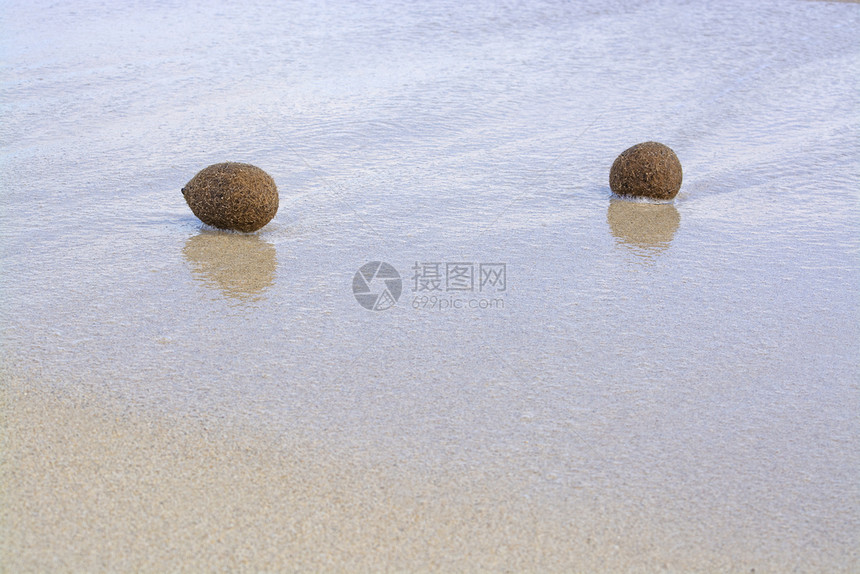 沙滩上被冲上岸的海草纤维球图片