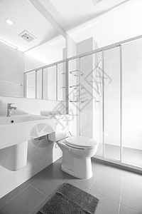 一种窗户洗手间和卫生用品装修后的大楼看起来像一个宽敞的反射镜浴室图片
