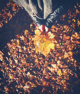 秋天风景中女孩拿着一束叶子图片
