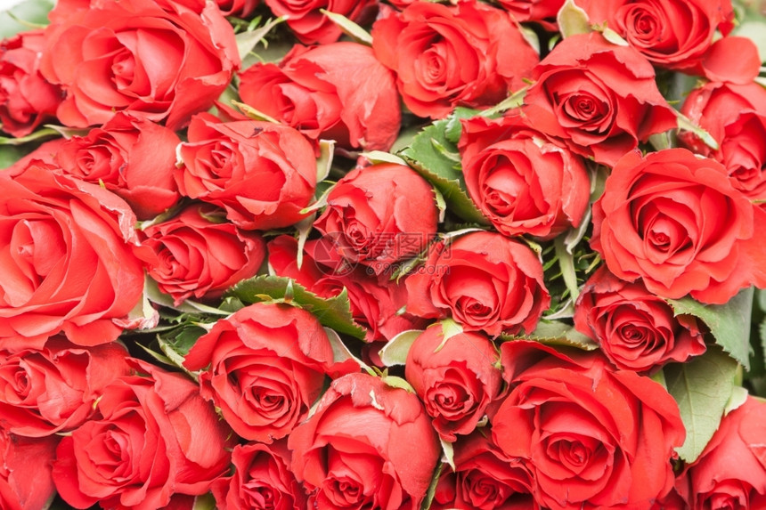 喜庆的红玫瑰花束用于浪漫赠礼矿石背景天新鲜图片
