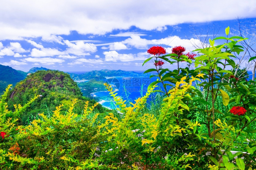 海景热带岛马赫塞舌尔的异国外貌旅游晴天图片