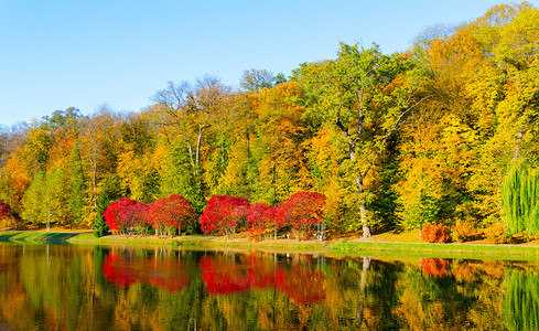 秋天下午有湖景的秋季风植物乡村的草图片