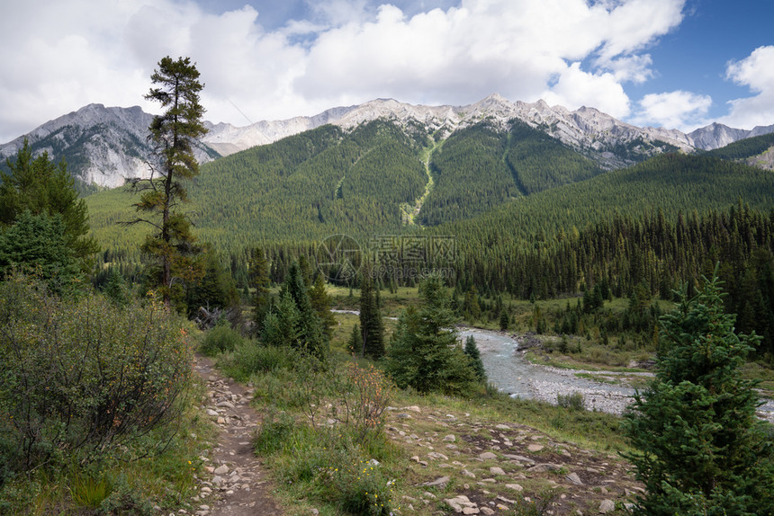 灰蒙加拿大艾伯塔邦夫公园BowValleyParkway沿岸全景观图象岩石自然图片