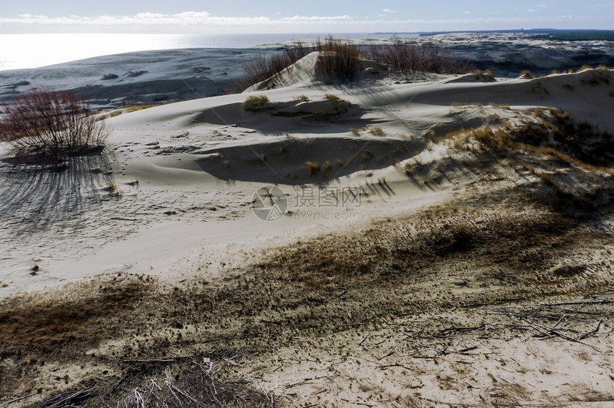 外部玩丰富多彩的风景如画海岸高沙丘波罗的海库尔斯沙嘴风景如画的海岸图片