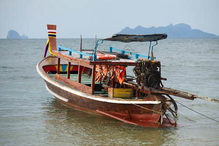 绿色泰国安达曼海照片尾巴图片