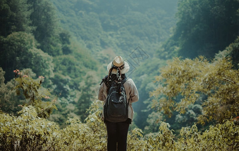 树美丽的顶峰站在山上俯瞰丛林的女站在山上俯瞰丛林的女图片