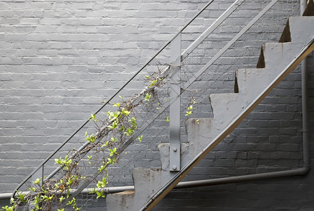 具体的绿色在悉尼澳洲的一幅漂亮旧楼梯景象建造图片