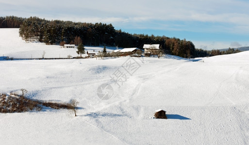 树木雪中的农庄覆盖田靠近意大利卡斯尔罗托环境冬天图片