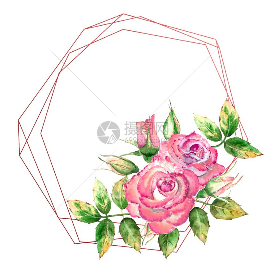 覆盖树叶几何框架饰有花朵粉红玫瑰绿叶开合花精美水彩插图几何框架饰有花朵粉红玫瑰开合花精致水彩插图植物图片