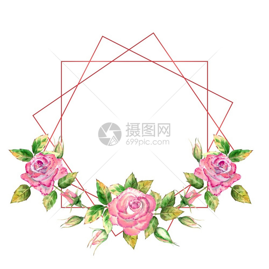 几何的框架饰有花朵粉红玫瑰绿叶开合花精美水彩插图几何框架饰有花朵粉红玫瑰开合花精致水彩插图树叶夏天图片