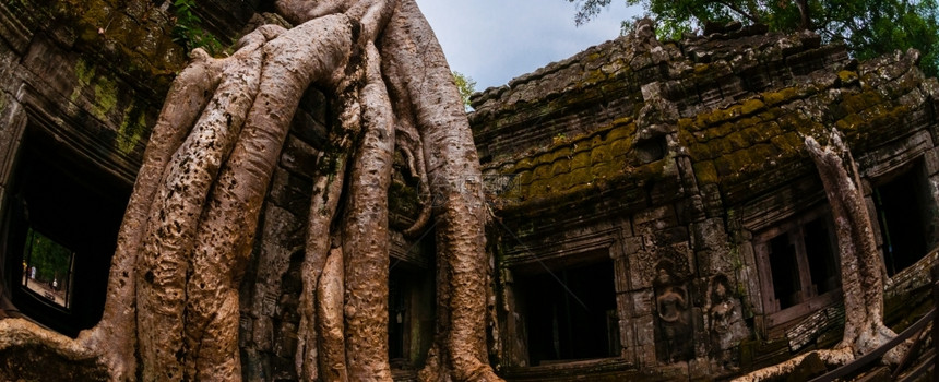 废墟热带纪念碑树根坐在石殿塔普罗姆树上根在石庙塔普罗姆吴哥河上图片