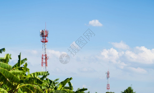 无线的频率天以蓝为背景在森林上方的移动网络式手机通信塔图片